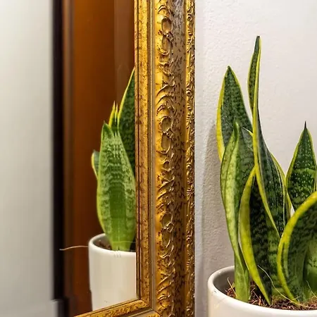 Gallucci - A 2 Passi Dal Duomo モデナ